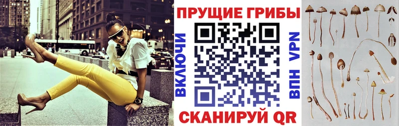 это официальный сайт  Коряжма  Псилоцибиновые грибы MAGIC MUSHROOMS 