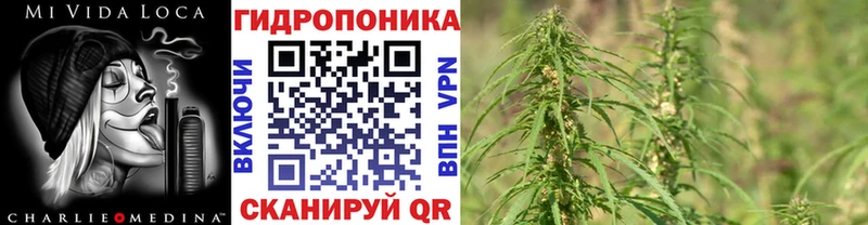 мега онион  Коряжма  МАРИХУАНА SATIVA & INDICA 